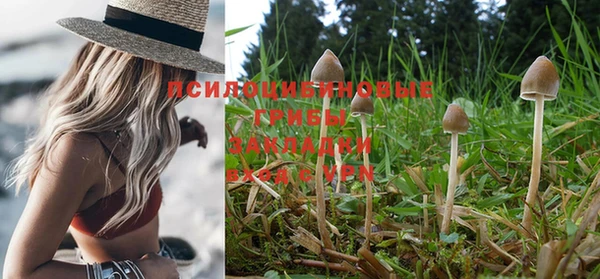меф Горнозаводск