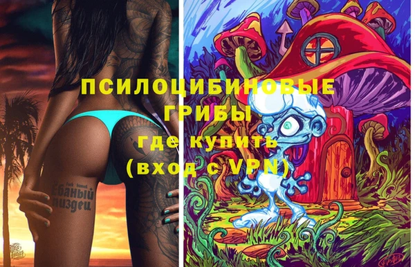 a pvp Горняк