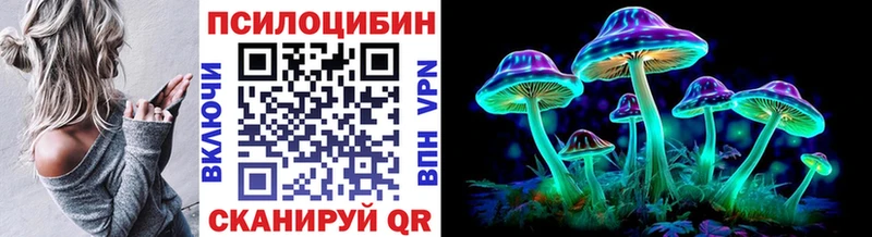 Галлюциногенные грибы Magic Shrooms  Купить где  Волгореченск 